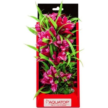 Aquatop Vibrant Passion Aquarium Plant Rose - 10