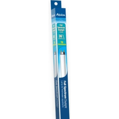 Aqueon T8 Daylight Fluorescent Lamp - 36\