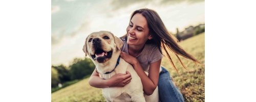 Everything You Need to Know About High-Tech Dog Training Collars: Benefits, Safety, and Effectiveness
